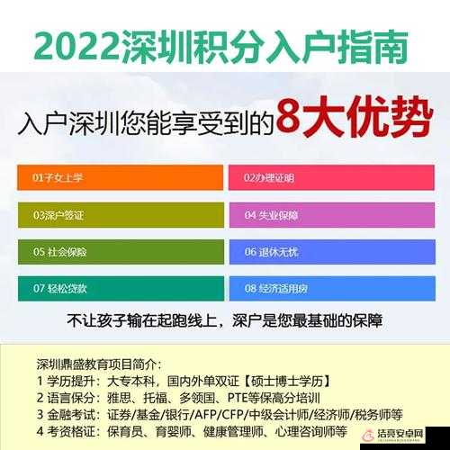 雙龍入戶的體驗如何：全方位解析